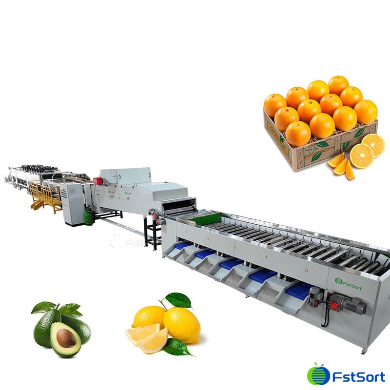 images/1762764580601citrus processing 1.jpg